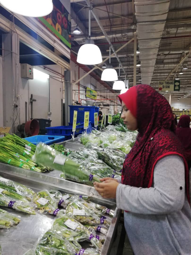 Beli Barang Basah Segar Dan Murah Di Segifresh Catatan Sue Izza