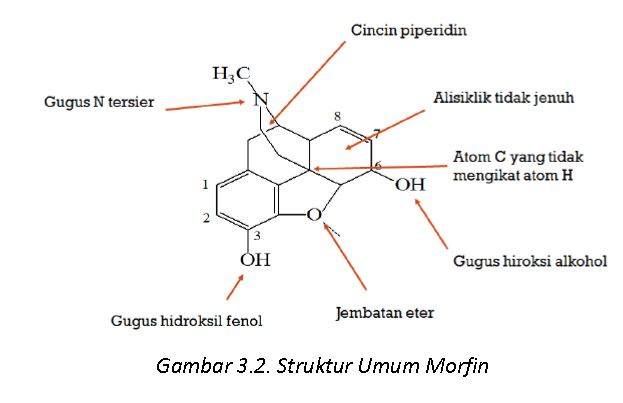 Kimia Medisinal Analgetik