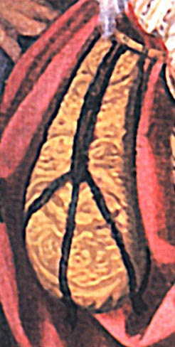 Magda's Salon: Renaissance Pocket (work in progress)