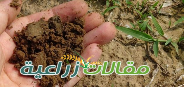 ماذا يحدث عند ارتفاع PH التربة عن 8 - مقالات زراعية