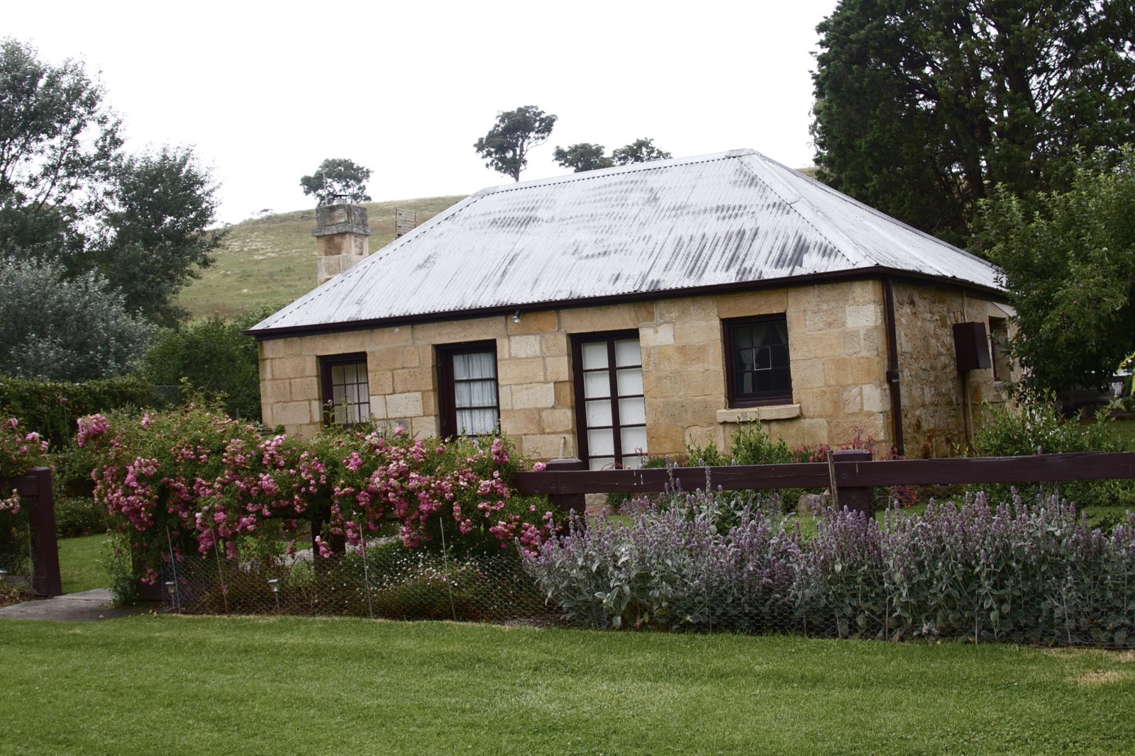 luv in a mug Eling Forest Cellar Door Cafe & Winery
