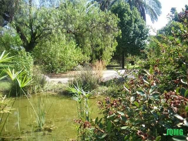 Practicas En Jardin Botanico El Arboreto Sevilla