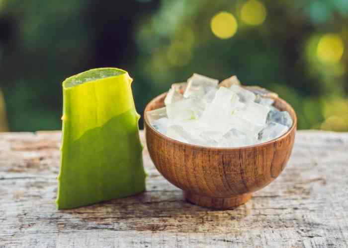 Frozen Aloe Vera Cubes for Sunburn Everything Pretty