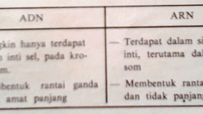 Fungsi Adn Arn Biologisites Fungsi Adn Arn Biologisites