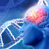 Stile di vita moderno che porta ad aumentare i problemi neurologici