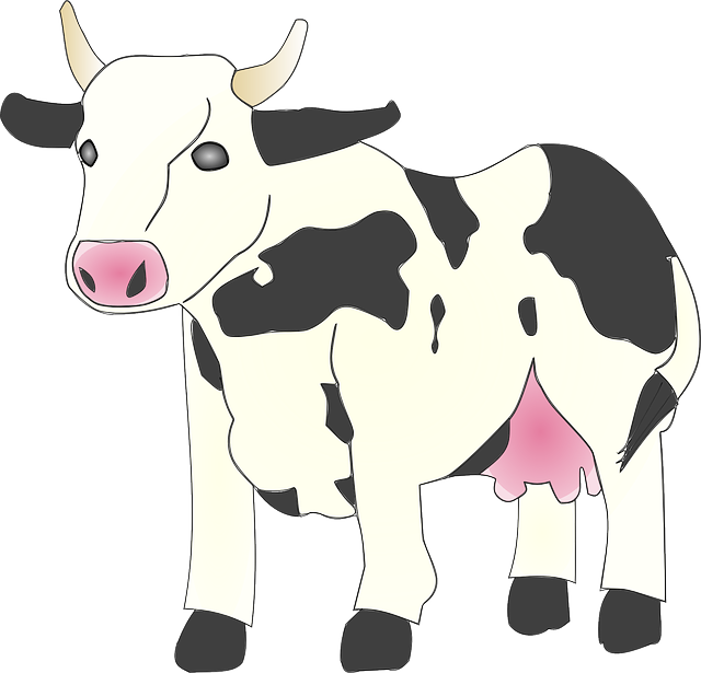 Contoh Gambar Kartun Sapi Lucu Terbaru zakinawawi Contoh Gambar Kartun Sapi Lucu Terbaru zakinawawi