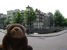 Teddy Bear in Amsterdam