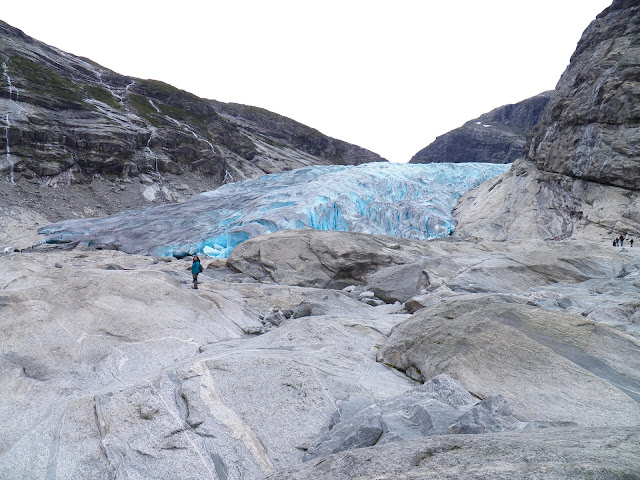 Día 7 (Carretera de las Nieves - Borgund - Glaciar Nigards) - Fiordos Noruegos - Oslo (14 días por nuestra cuenta) Agosto 2013 (8)