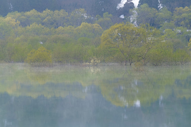 #photo #landscape #sigma #foveon #sdquattroh #japan #yamagata #iide #写真 #風景写真 #山形帝國 #山形県 #飯豊町 #白川湖 #水没林