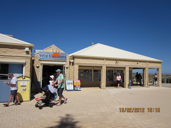 Penguin Island - Perth, Western Australia