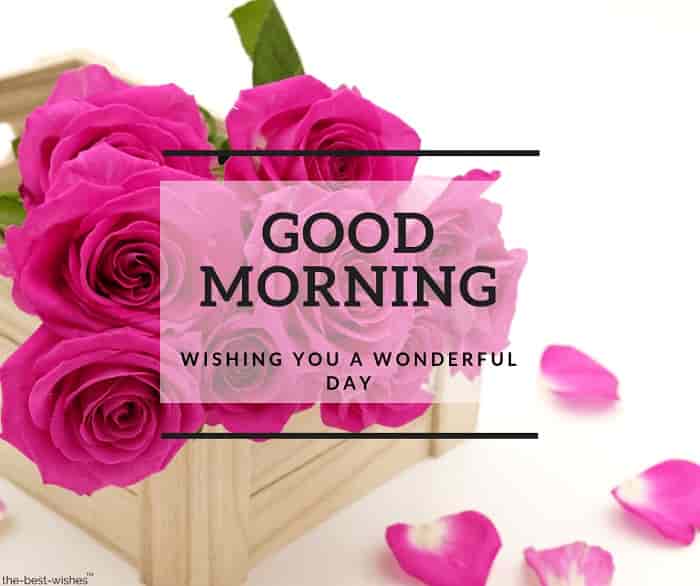 111 Good Morning Wishes For Sweetheart Best Images