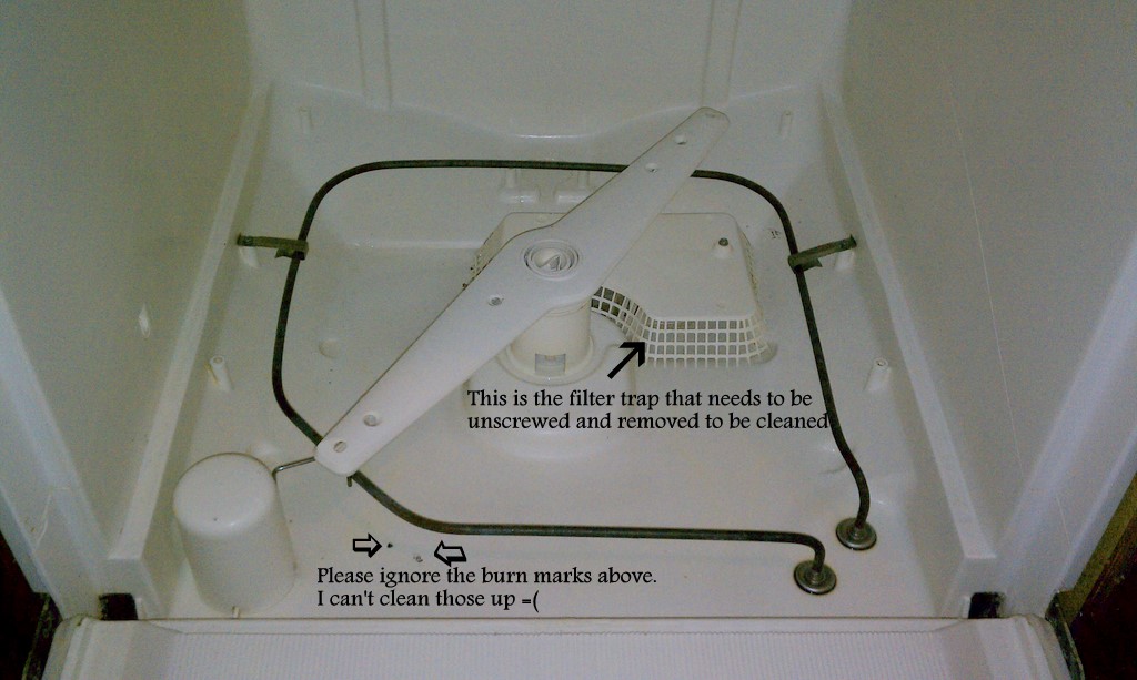 Learning the Ropes...One Recipe at a Time How Clean is Your Dishwasher?