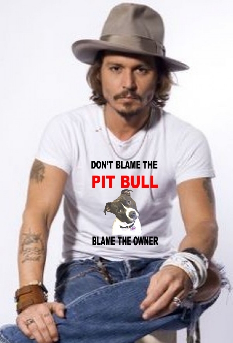 DON'T BLAME THE PIT BULL-BLAME THE OWNER