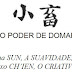 I Ching, o Livro das Mutações - Livro Primeiro, Hexagrama 9: Hsiao Ch'u / O Poder de Domar do Pequeno