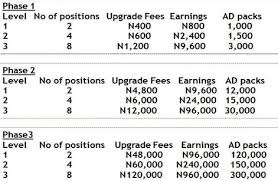 How to make money from RIIAB business platform