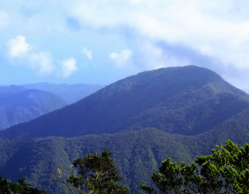 Ямайка голубые горы Ямайка голубые горы