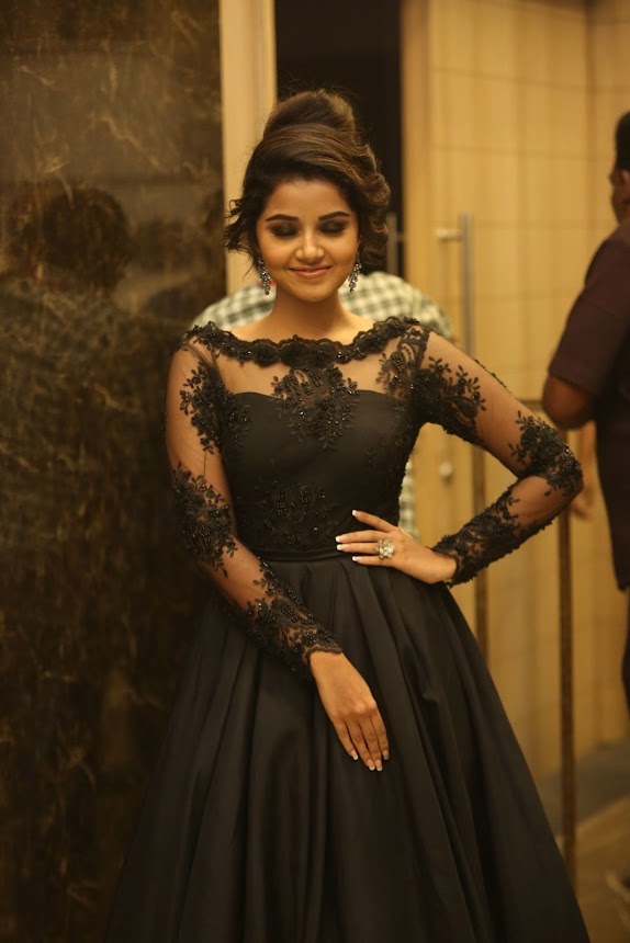 Anupama Parameswaran at Hello Guru Prema Kosame Pre release
