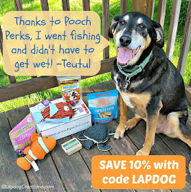 Teutul went fishing and didn't even have to get wet, thanks to #PoochPerks You can SAVE 10% off with #couponcode LAPDOG #dogsubscriptionbox #LapdogCreations ©LapdogCreations