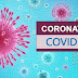 USP: novo coronavírus infecta e se replica em glândulas salivares. 