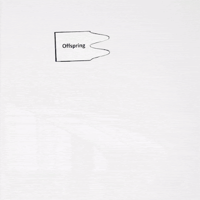 Matching Cards for First Grade Vocabulary