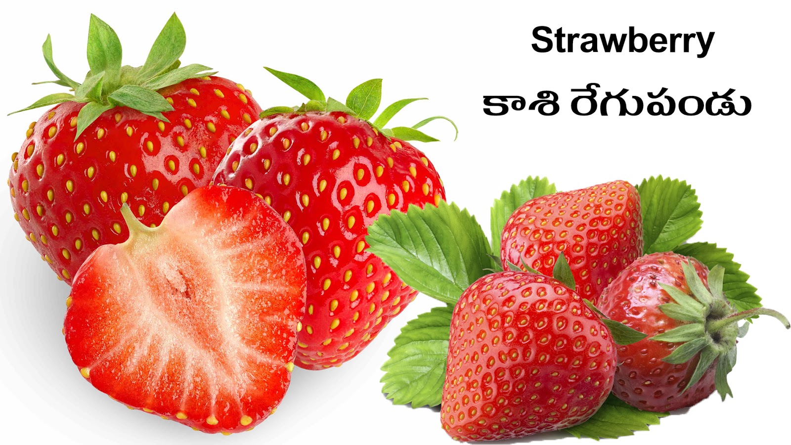 FRUITS PHALAMULU Picture Dictionary English Telugu