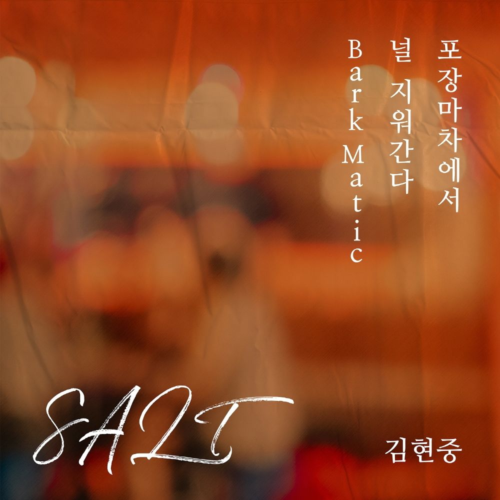 Kim Hyun Joong – SALT – Single