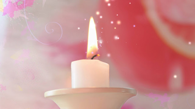 Pink candle flower background Pink candle flower background