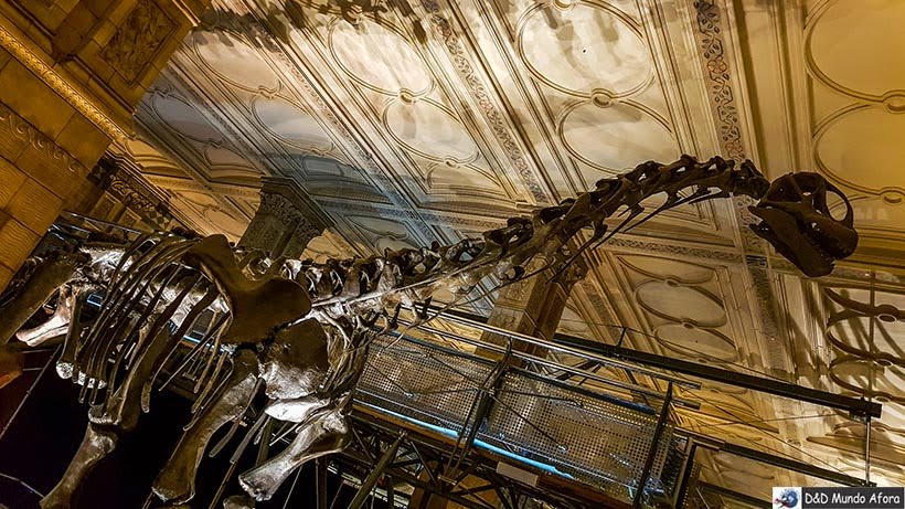 Esqueleto de dinossauro no Museu de História Natural de Londres