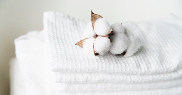 Chất liệu vải cotton compact