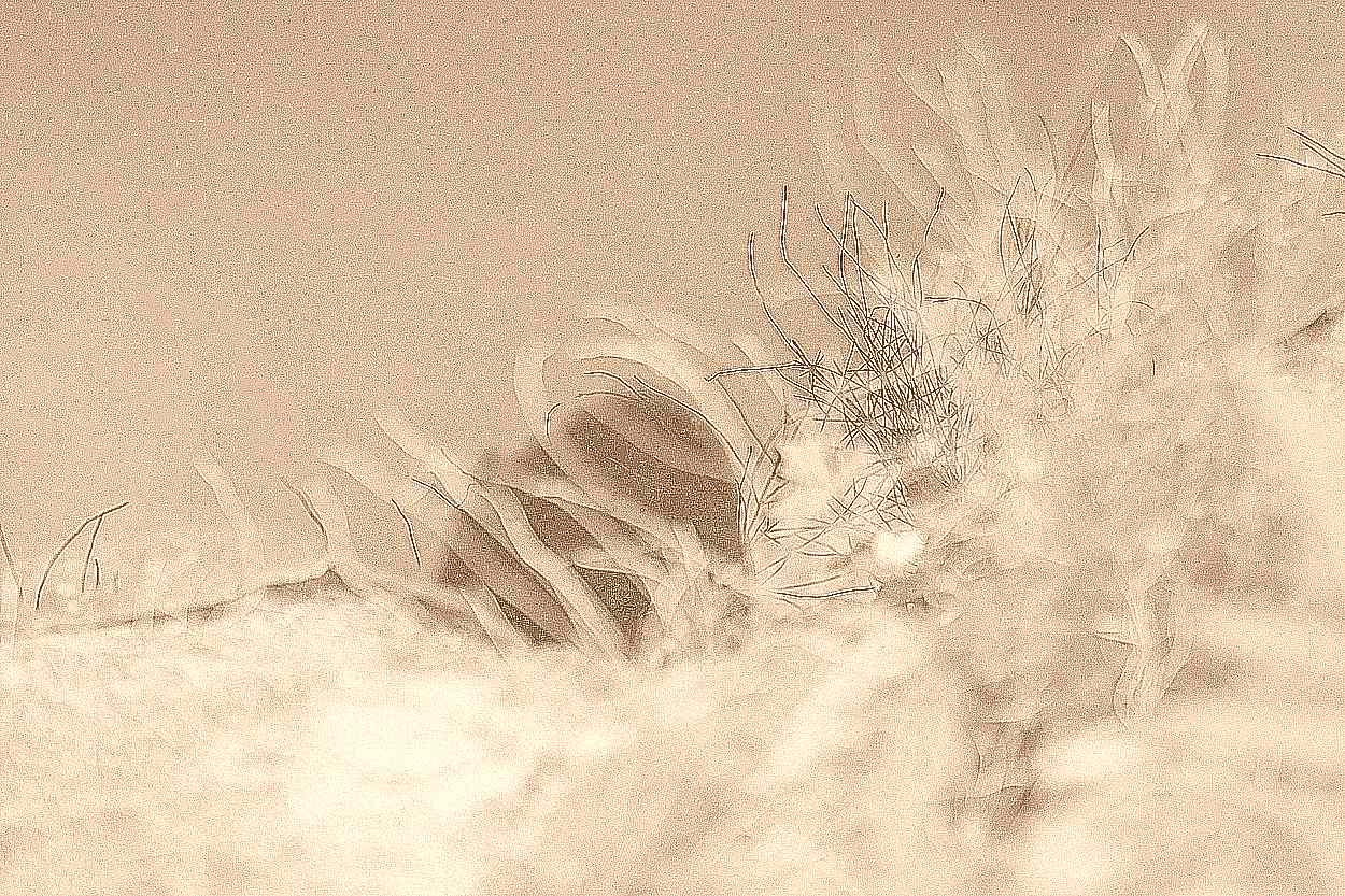 화성 용주사 화성 용주사