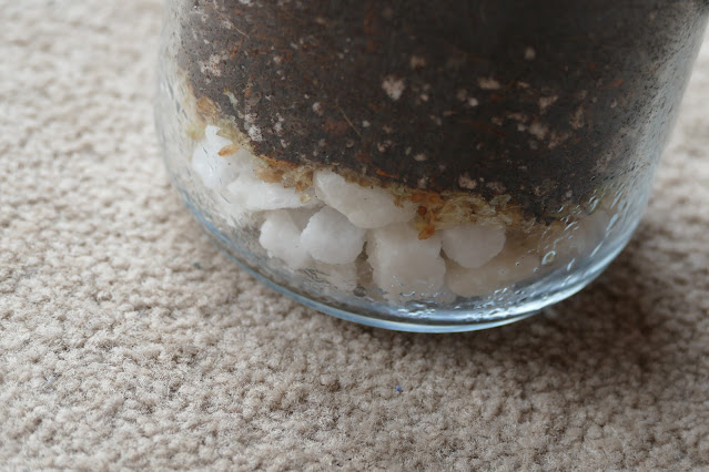 How To Build Your Own Terrarium At Home, DIY Terrariums Shop Review, DIY Terrariums Shop etsy, terrarium kits cheap uk, terrarium kit uk, closed terrarium kit, etsy terrarium kit How To Build Your Own Terrarium At Home, DIY Terrariums Shop Review, DIY Terrariums Shop etsy, terrarium kits cheap uk, terrarium kit uk, closed terrarium kit, etsy terrarium kit