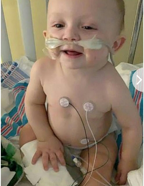 احذر تقبيل الأطفال الرضع.. الضرر يصل إلى الوفاة احذر تقبيل الأطفال الرضع.. الضرر يصل إلى الوفاة