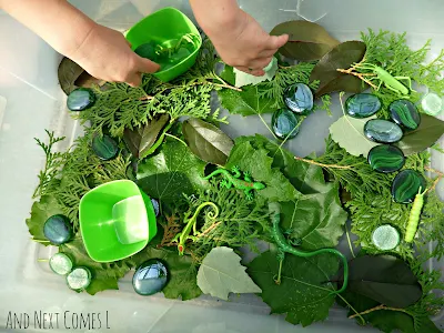 Green themed sensory bin from And Next Comes L