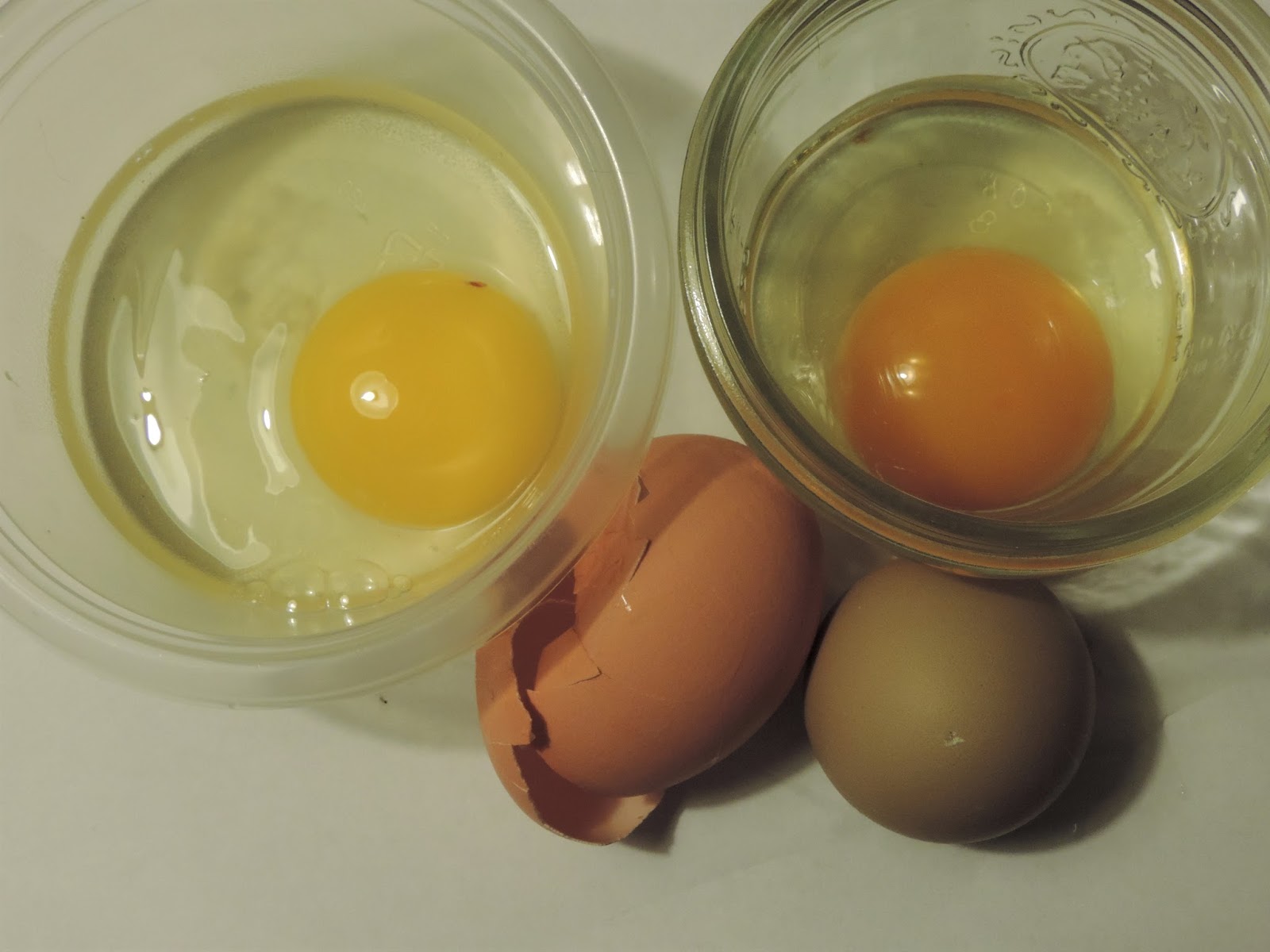 Cottontail Farm Canning citrus & egg review