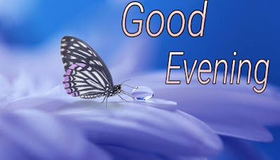 Good evening images with butterfly Good evening images with butterfly