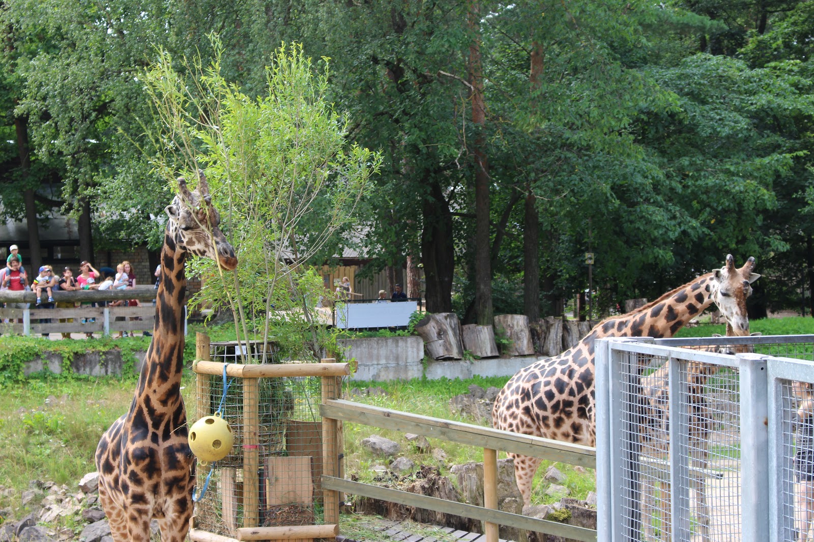 Зоопарк в риге