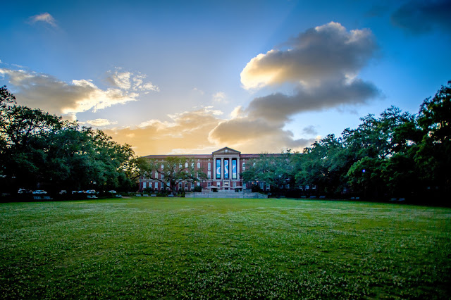 Why tulane essay word count picture