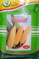 harga benih jagung manis, benih pertiwi, Talenta, manfaat jagung, jual benih jagung manis, toko pertanian, toko online,lmga agro