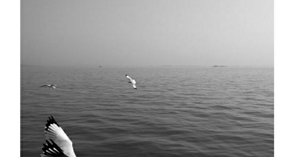 Snap It Up snap-it-up