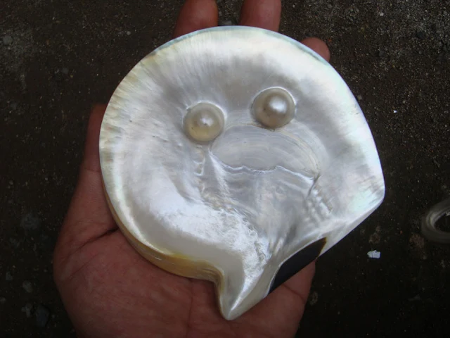 Hal pearls | Oyster | Shell wholesale from Lombok Indonesia
