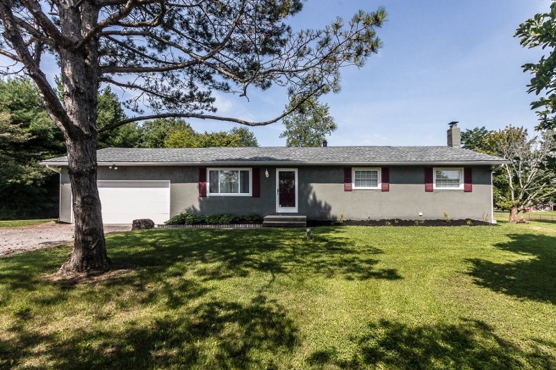 NEW LISTING IN PATASKALA! Real Estate Updates with DeLena Ciamacco