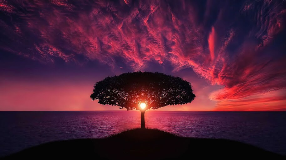 Sea, Sunset, Sky, Tree, Scenery, Horizon, 4K, #6.963