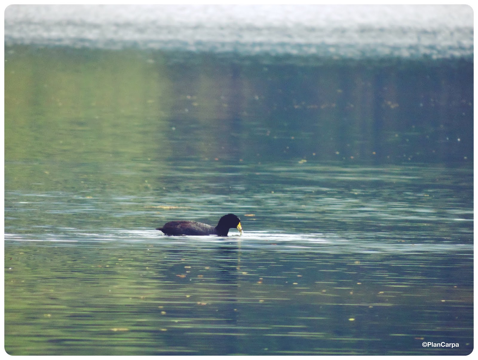 Parque Embalse El Hato
