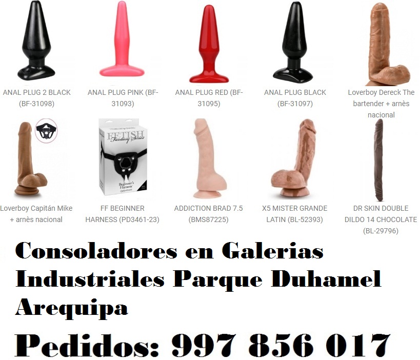 en Galerias Industriales Parque Duhamel Arequipa