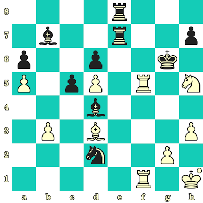 Les Blancs jouent et matent en 2 coups - Maia Chibourdanidzé vs Roman Slobodjan, Lippstadt, 2000