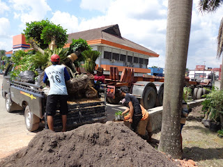 TUKANG TAMAN SURABAYA-JASATAMAN