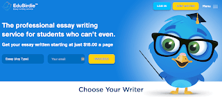 edubirdie.com review