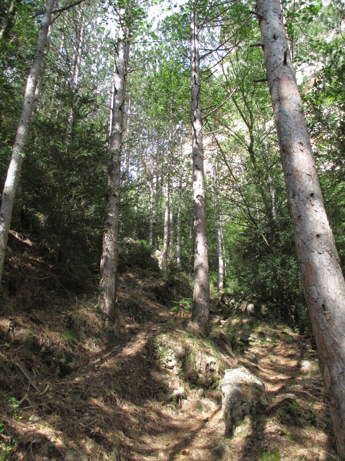 Ruta por la Tinença de Benifassà - Rutas por España (5)