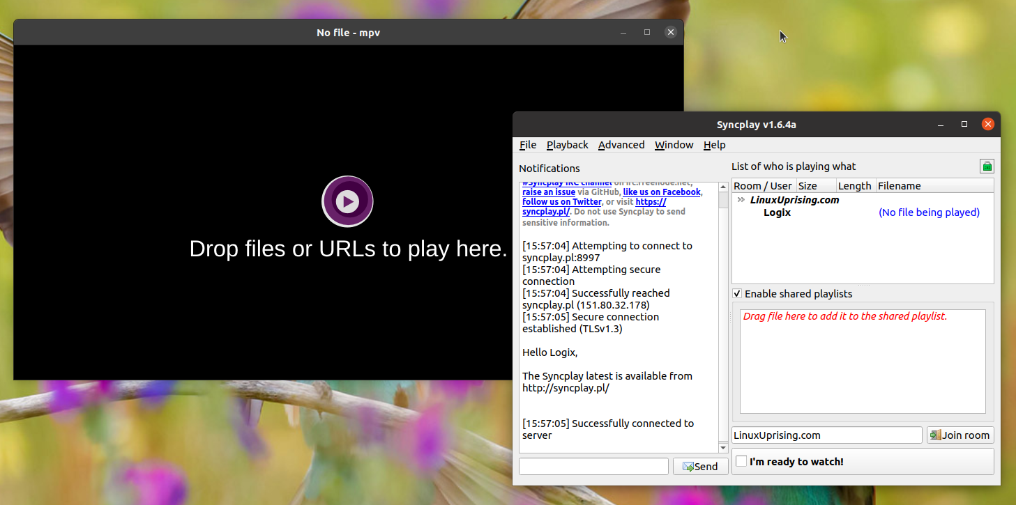 syncplay cant connect to vlc syncplay cant connect to vlc
