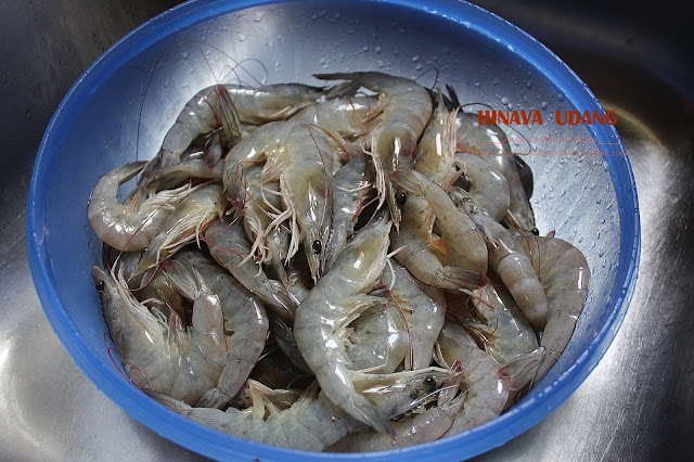 Hinava Udang